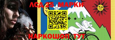 гидропоника Малгобек