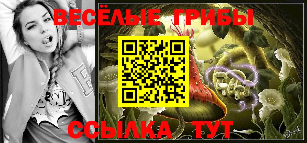 Галлюциногенные грибы прущие грибы Чебоксары