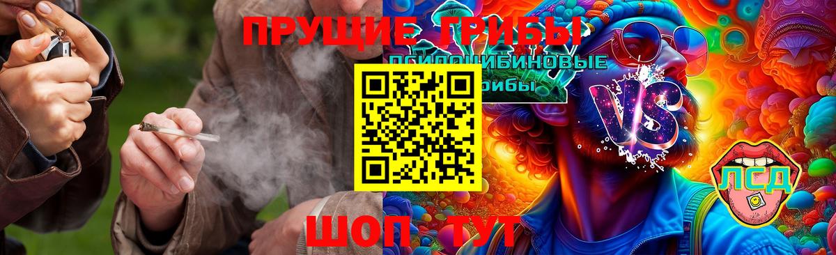 Чебоксары  наркотики  Вход с VPN  Псилоцибиновые грибы Psilocybe 